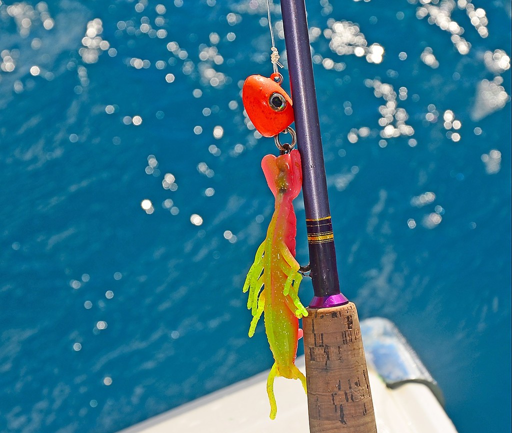 The Zman ShrimpZ is an underutilised offshore plastic.  Twitched seductively along reef drop-offs or over deep shoals it is a top mantis shrimp imitation. - Deepwater Jigs III: Shrimp and Squid © Lee Brake